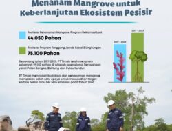 Jaga Ekosistem Pesisir, PT Timah Telah Tanam 119.150 Mangrove di Wilayah Operasional Perusahaan
