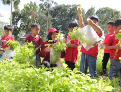 Galakkan Gemar Makan Sayur, Safriati Safrizal Ajak Anak-Anak TK Panen 