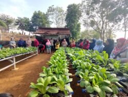 Melalui Program PMM, PT Dukung Ketahanan dan Pengembangan Pertanian di Lingkar Tambang