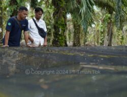 Dukung Tingkatkan Ekonomi, PT Timah Berikan Bantuan Usaha untuk Kelompok Usaha Sumber Rezeki Bangka Barat