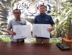 Tingkatkan Kapasitas Listrik Operasional Lebih Efisien, PT Timah Kolaborasi Bersama PLN