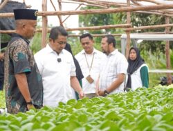 Bersama PT Timah, Kelompok Hidroponik Lanjut Bestari Tanam Sayur Mayur untuk Ketahanan Pangan di Desa Sawang Laut