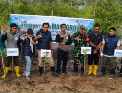 Galakkan Upaya Rehabilitasi Ekosistem Pesisir, PT Timah Kembali Tanam 3000 Mangrove di Desa Sawang Laut