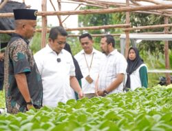 Dorong Pemberdayaan Ekonomi Lokal, PT Timah Gerakkan Program Hidroponik Bagi Kelompok Perempuan di Desa Sawang Laut