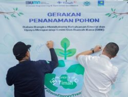 Ini Upaya yang Dilakukan PT Timah Bersama Forkopimda untuk Kurangi Dampak Emisi Gas Rumah Kaca
