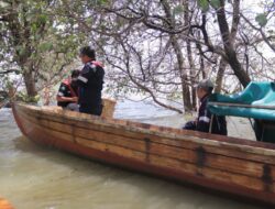 Tingkatkan Hasil Tangkapan Nelayan dan Jaga Ekosistem Pesisir di Perairan Kundur dan Karimun, PT Timah Lepaskan Ribuan Bibit Kepiting Bakau