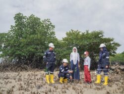 Dukung Target Net Zero Emission, PT Timah Tanam Ratusan Ribu Mangrove