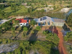 Dorong Masa Depan Hijau, Inisiatif PT Timah Kurangi Konsumsi Energi untuk Capai Net Zero Emission 