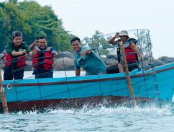 Komitmen Jaga Ekosistem Laut dan Dukung Wisata Bahari, PT Timah Tenggelamkan Ratusan Coral Garden