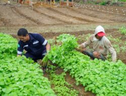 PT Timah Inisiatif Dukung Program Ketahanan Pangan
