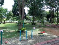 Tins Green Garden Foresttree Ruang Terbuka Hijau yang Dikelola PT Timah untuk Mendukung Gaya Hidup Sehat