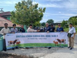 Tebar Hewan Kurban di Bangka Barat, Warga Sebut PT Timah Tidak Pernah Absen Berikan Hewan Kurban