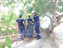 Hari Lingkungan Hidup Sedunia, PT Timah Gelar Aksi Nyata Kumpulkan Sampah Plastik Hingga Tanam Pohon di Pantai