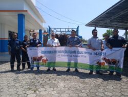 Idul Adha 2025, PT Timah Bagikan Hewan Kurban untuk Masyarakat Bangka Barat