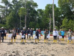 Langkah Nyata PT Timah Peringatan Hari Lingkungan Hidup Sedunia, Tanam Ribuan Pohon Mangrove di Pesisir Pantai Tanjung Labun