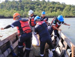 Jaga Ekosistem Pesisir, PT Timah Kembali Restocking Ratusan Kepiting Bakau di Perairan Kundur