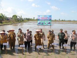 Gubernur Hidayat Arsani Optimis Modernisasi Pertanian Wujudkan Kemandirian Pangan Babel 