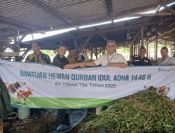 Pererat Silaturahmi, PT Timah Tebar Ratusan Hewan Kurban di Empat Provinsi