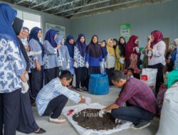 Bantu Tingkatkan Ekonomi Warga, PT Timah Latih Ibu-ibu Sungailiat Olah Sampah Jadi Kompos Bernilai Ekonomis