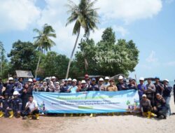 Jaga Ekosistem Pantai Batu Bedaun, PT Timah Kolaborasi dengan Karang Taruna Desa Rajik Tanam Ribuan Mangrove