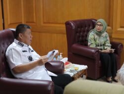 Babel Kian Terang, Gubernur Hidayat Arsani Apresiasi Peran PLN