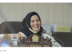 Soal Perjalanan Dinas, Ini kata Wagub Hellyana