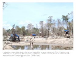Sssttt…!! Tambang Timah Ilegal di Hutan Lindung Juru Seberang Kembali Eksis 