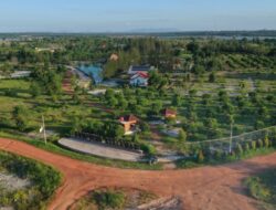 Reklamasi Darat PT Timah, Dari Lahan Pascatambang Menjadi Ruang Hidup Baru