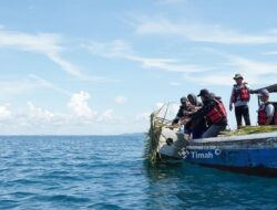 Lewat Program Artificial Reef dan Coral Garden, PT Timah Dorong Kelestarian Pesisir dan Hasil Tangkapan Nelayan