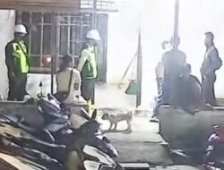 PT Timah Monopoli Pasir Timah Ilegal di Belitung dan Belitung Timur?
