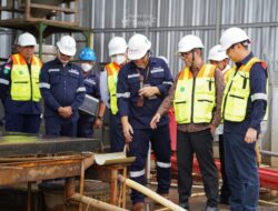 Mendiktisaintek Dorong PT Timah Jadi Pelopor Pengembangan Logam Tanah Jarang di Indonesia