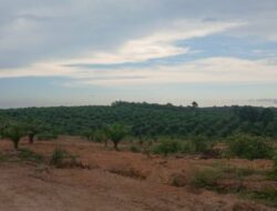 Oknum Anggota DPRD Babel Jual Lahan IUP PT Timah Rp 3 Miliar?