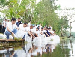 PT Timah Tebar Belasan Ribu Bibit Ikan di Kolong Bekas Tambang, Optimalisasi Pemanfaatan Kolong dan Ekonomi Masyarakat