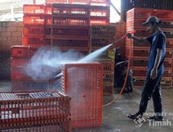 Dukung UMKM Makin Berkembang, PT Timah Serahkan Mesin Steam untuk Usaha Ayam Potong di Pangkalpinang