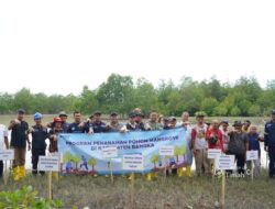 Komitmen Pelestarian Ekosistem Pesisir, PT Timah Tanam 5000 Bibit Mangrove di Pantai Takari