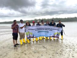 PT Timah Tanam Mangrove di Belitung, Perkuat Ketahanan Pesisir dan Ekonomi Masyarakat