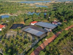 Dari Reklamasi hingga Mangrove, PT Timah Tbk Dorong Pemulihan Lingkungan Berkelanjutan