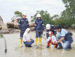 Edukasi Pelajar Soal Lingkungan, PT TIMAH  Tanamkan Kepedulian Lewat Program Mangrove