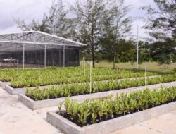 Komitmen Pengelolaan Lingkungan, PT TIMAH Reklamasi Ratusan Hektar Lahan Pasca Tambang di Bangka Belitung