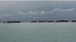 Ssstt…. Rencana Tambang Ilegal di Tanjung Bunga ‘Jual’ nama sejumlah Pejabat 