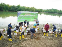 Kolaborasi PT TIMAH, Pemerintah Kabupaten Bangka dan Warga Ubah Kolong AKHLAK Jadi Kawasan Produktif