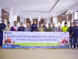 PT TIMAH Hadir untuk Masyarakat, Hewan Kurban Dibagikan ke Desa-Desa Operasional