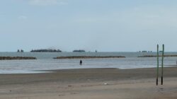 Pantai Pasir Padi Terancam, Tambang Timah Ilegal Menggempur Kawasan