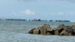 RK Maksimal 10 Ponton Beranak Ratusan, Mitra PT Timah Kerja Ilegal di Perairan Pasir Padi