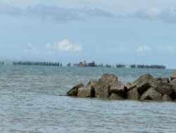 RK Maksimal 10 Ponton Beranak Ratusan, Mitra PT Timah Kerja Ilegal di Perairan Pasir Padi