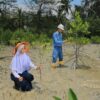 Puluhan Ribu Mangrove Ditanam Sepanjang 2025, PT TIMAH Dukung Target Net Zero Emissions 2060