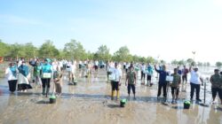Peringati HKG PKK ke-54 dan Hari Lingkungan Hidup Sedunia, Pemprov Babel Gelar Aksi Tanam Mangrove