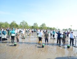 Peringati HKG PKK ke-54 dan Hari Lingkungan Hidup Sedunia, Pemprov Babel Gelar Aksi Tanam Mangrove