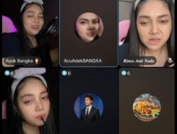 Janda Dua Anak di Pangkalpinang Jadikan TikTok sebagai Sumber Penghasilan