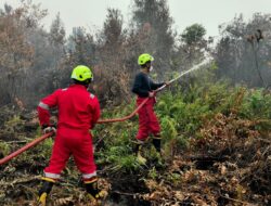PT TIMAH Kerahkan Personel Fire Fighter Bersama Grup MIND ID Tangani Karhutla di Kalimantan Barat 